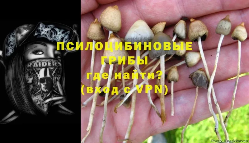 Псилоцибиновые грибы Magic Shrooms Руза